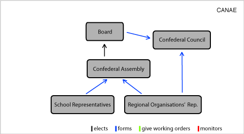 Basic structure